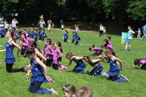 zmajada 17